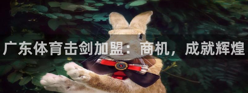耀世娱乐官网网站登录：广东体育击剑加盟：商机，成就辉