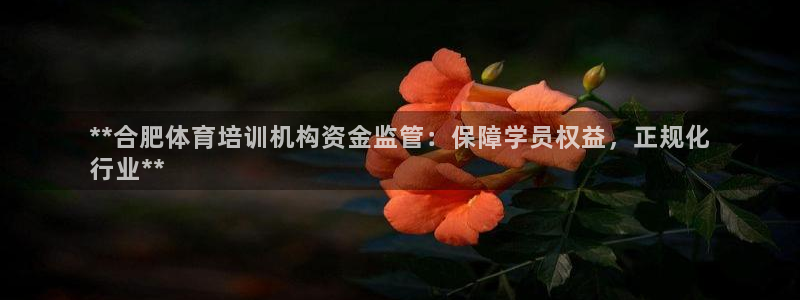 耀世平台：**合肥体育培训机构资金监管：保障学员权益