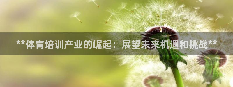 耀世平台：**体育培训产业的崛起：展望未来机遇和挑战