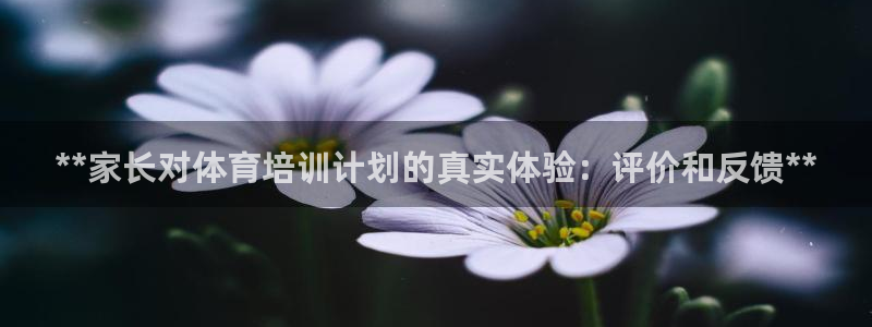 耀世集团商业联盟罗文斌主任：**家长对体育培训计划的