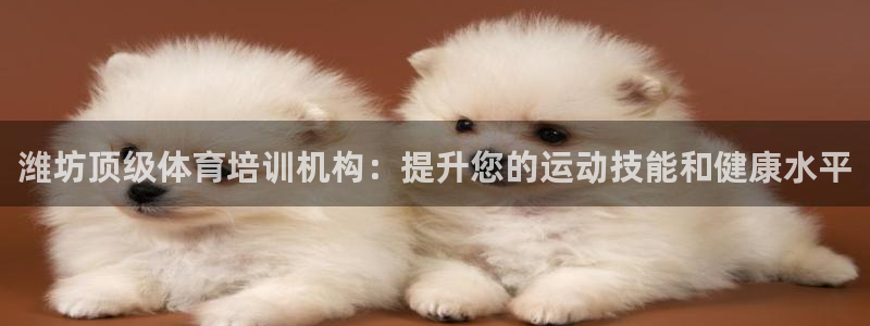 耀世平台登录待做7.1.6.5.8.95信用好：潍坊