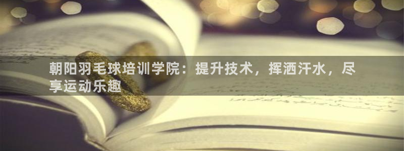 耀世平台是黑台子吗：朝阳羽毛球培训学院：提升技术，挥