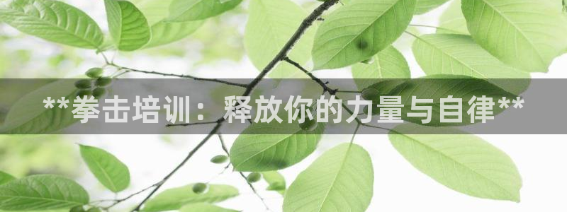 耀世令是什么：**拳击培训：释放你的力量与自律**