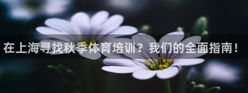 耀世天下的网名是什么意思啊男生：在上海寻找秋季体育培