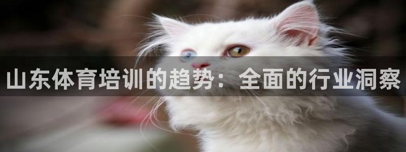 耀世平台六七五一38：山东体育培训的趋势：全面的行业
