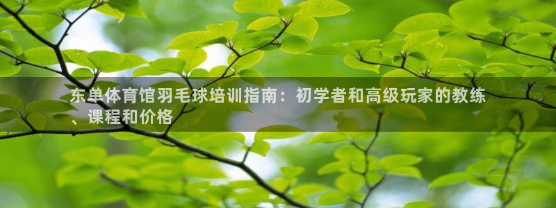 耀世平台注册网址是多少啊：东单体育馆羽毛球培训指南：