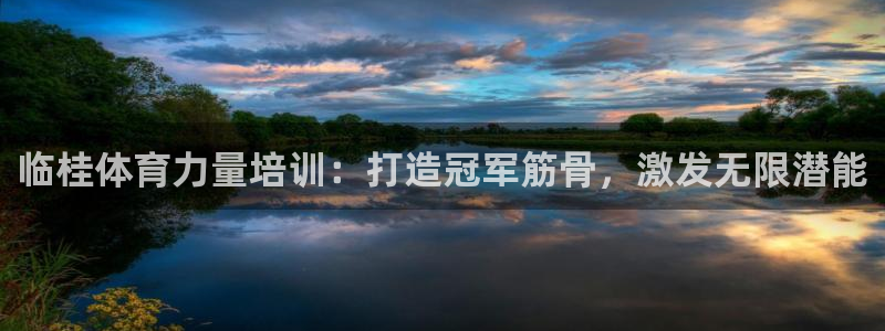 耀世娱乐挂机软件：临桂体育力量培训：打造冠军筋骨，激