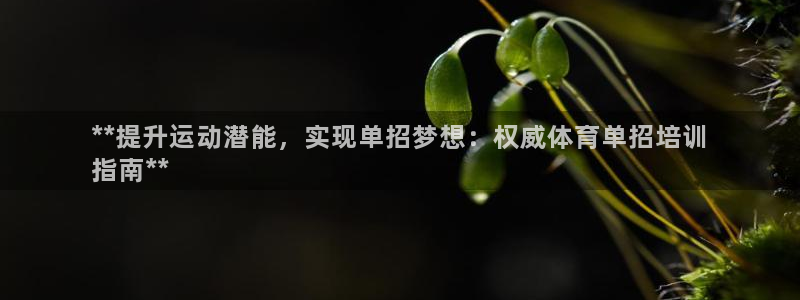 耀世娱乐登陆地址怎么改：**提升运动潜能，实现单招梦