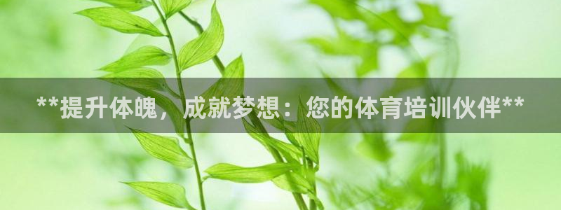 耀世娱乐是不是赚钱快：**提升体魄，成就梦想：您的体