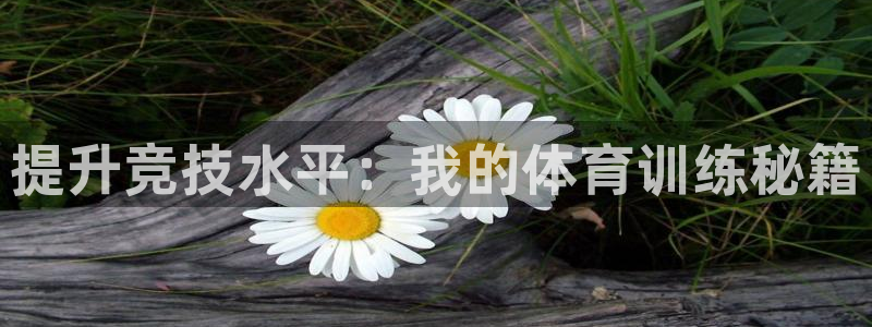 耀世娱乐代理什么待遇可以做