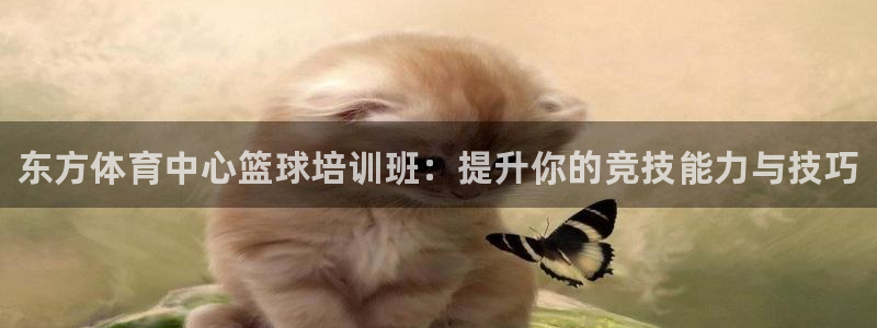 耀世平台皮皮虾怎么样