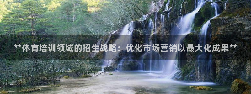 耀世娱乐圈主管：**体育培训领域的招生战略：优化市场