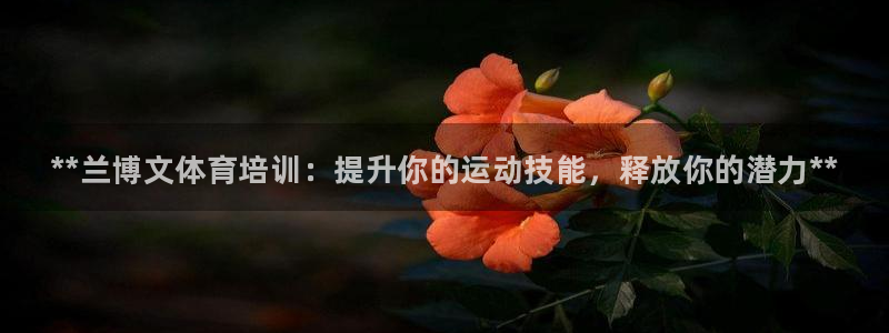 耀世集团王大聪：**兰博文体育培训：提升你的运动技能