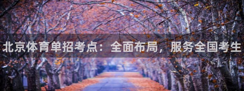 耀世平台皮皮虾怎么样