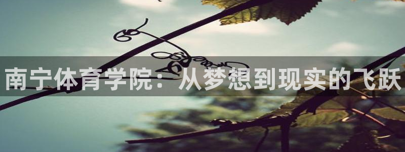 耀世登场一样的词：南宁体育学院：从梦想到现实的飞跃