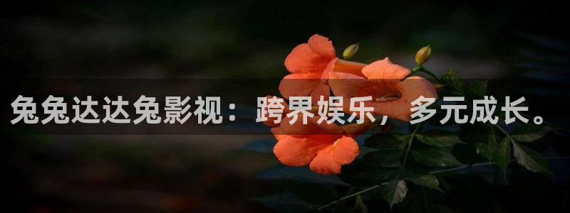 亚洲b影院