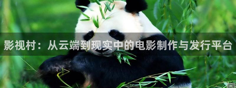 b影院,：影视村：从云端到现实中的电影制作与发行平台