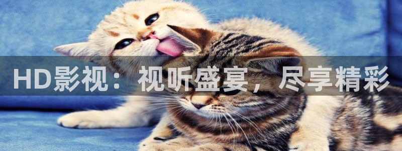 全国最大b影院：HD影视：视听盛宴，尽享精彩