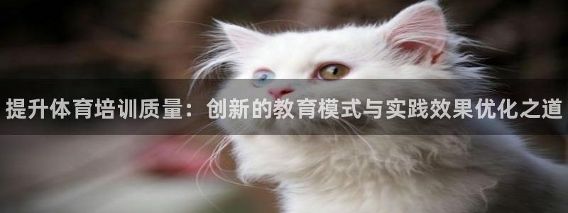 耀世平台注册网址是什么：提升体育培训质量：创新的教育