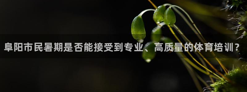 耀世平台管 5O6917 耀世：阜阳市民暑期是否能接受到专业