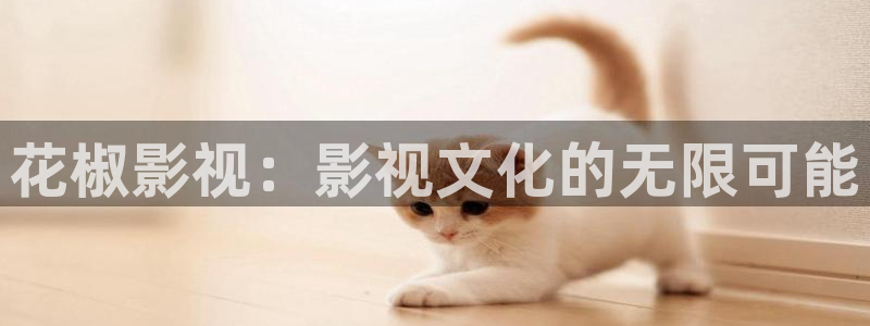 b影院网址