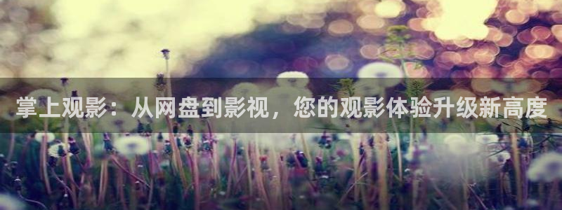 大b影院：掌上观影：从网盘到影视，您的观影体验升级新高度