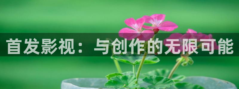 b影院全球最大的影院：首发影视：与创作的无限可能