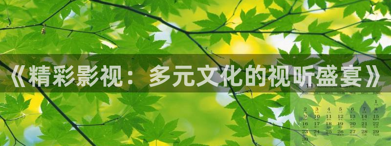 b影院网址：《精彩影视：多元文化的视听盛宴》