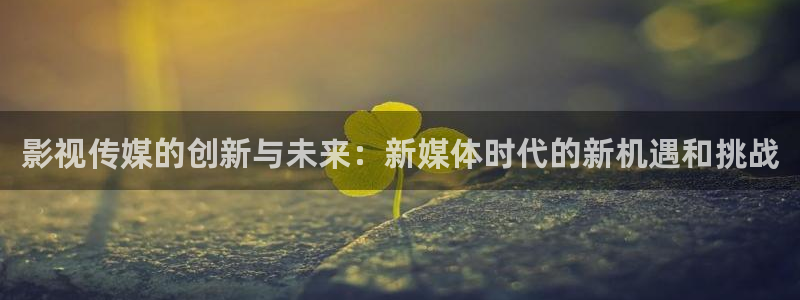 小b影院：影视传媒的创新与未来：新媒体时代的新机遇和挑战