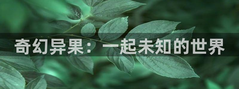 视频b影院：奇幻异果：一起未知的世界